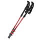 Bergson BTP-03 CARBON Red Kije Trekkingowe